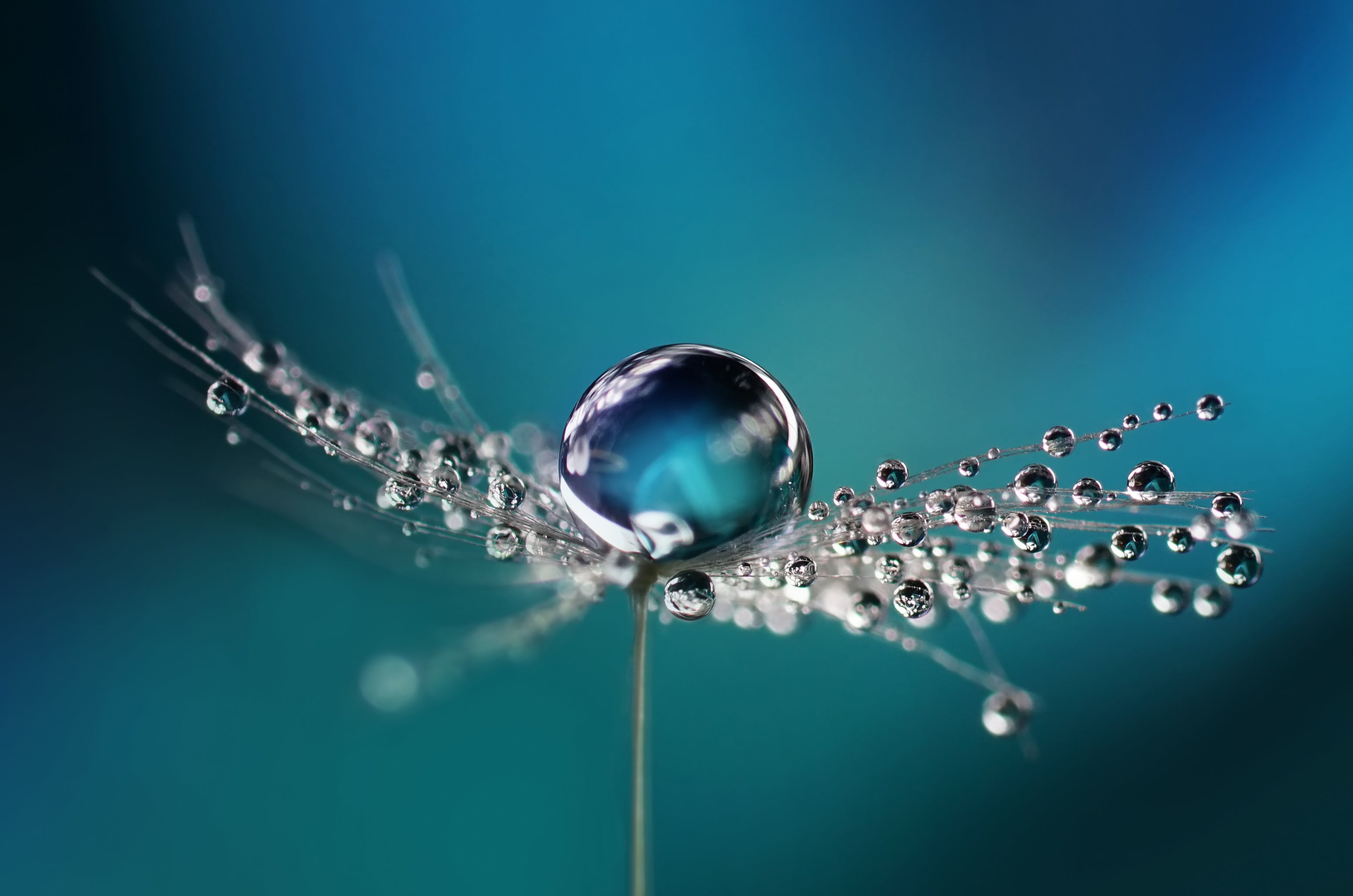 Die Einsicht in das Element WASSER