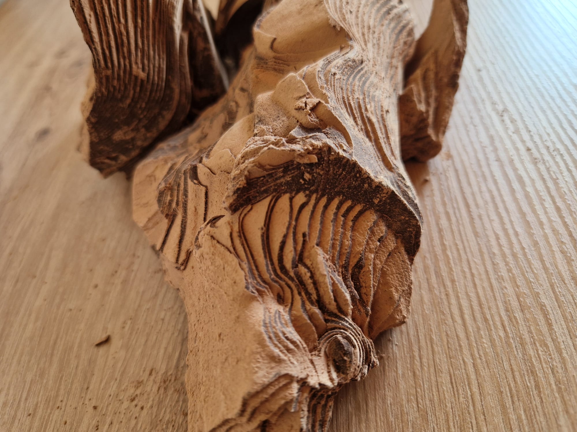 ERDE RitualKakao ACIMO